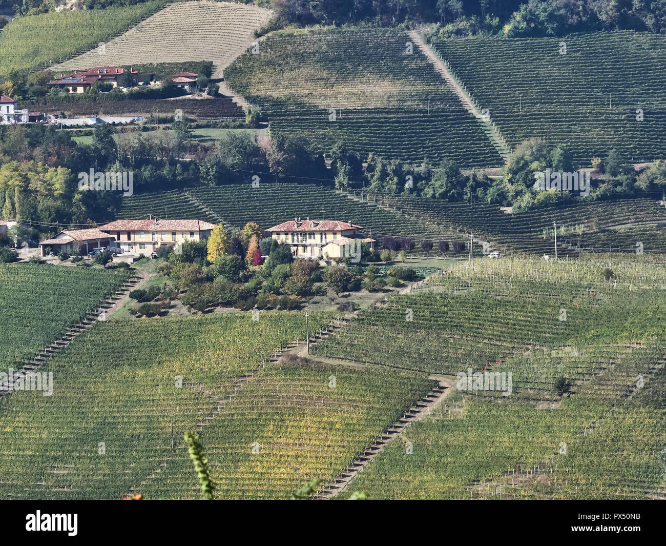 Vista del paesaggio delle Langhe, un countryisde in Pedmont molto popolare a causa dei buoni vini e cibo Foto Stock