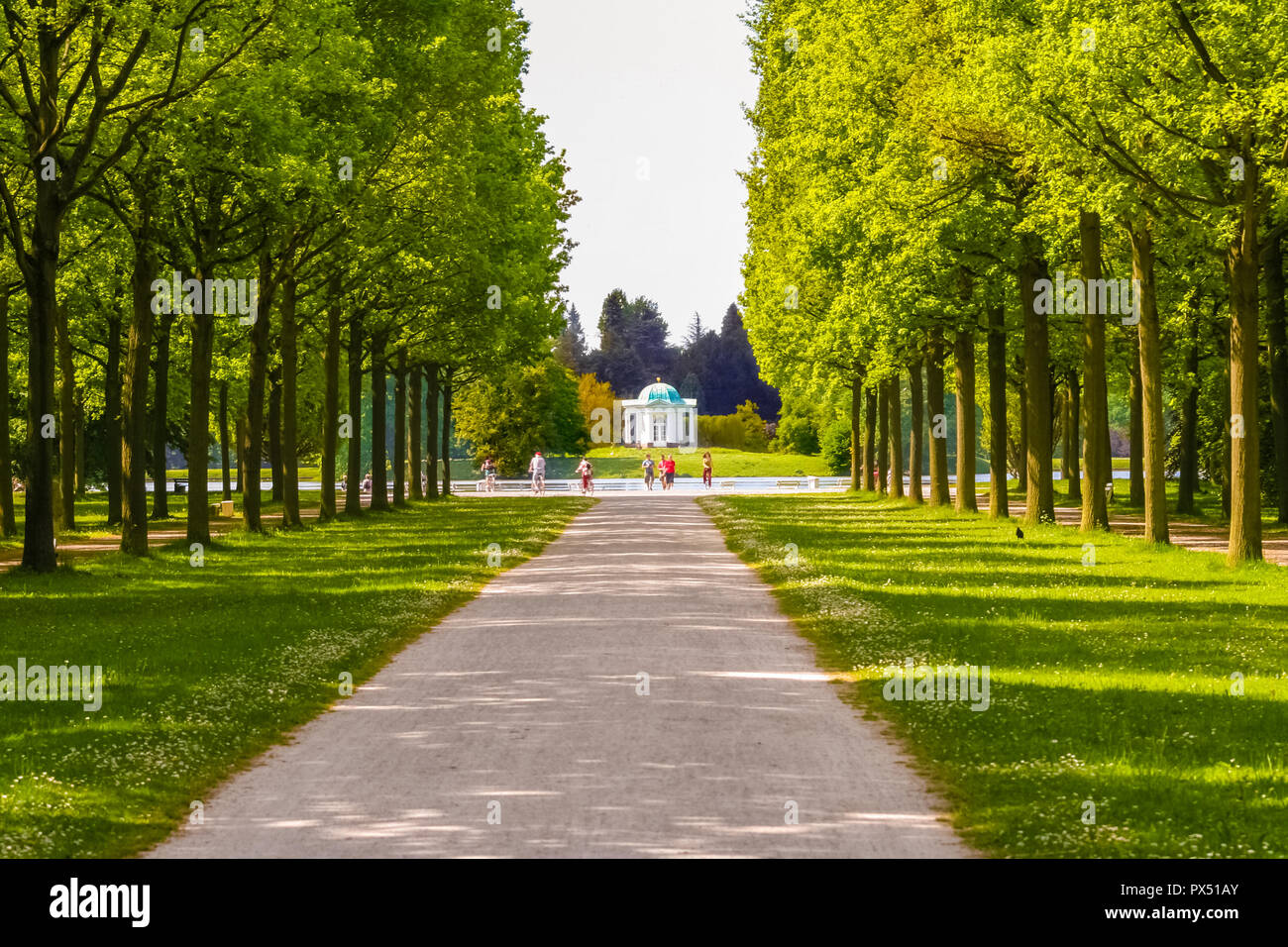 Bella la vista di un grande albero viale che conduce al famoso spot visitatori nei pressi del grande bacino (Aueteich) comprendente l'isola di Swan (Schwaneninsel) con il suo... Foto Stock