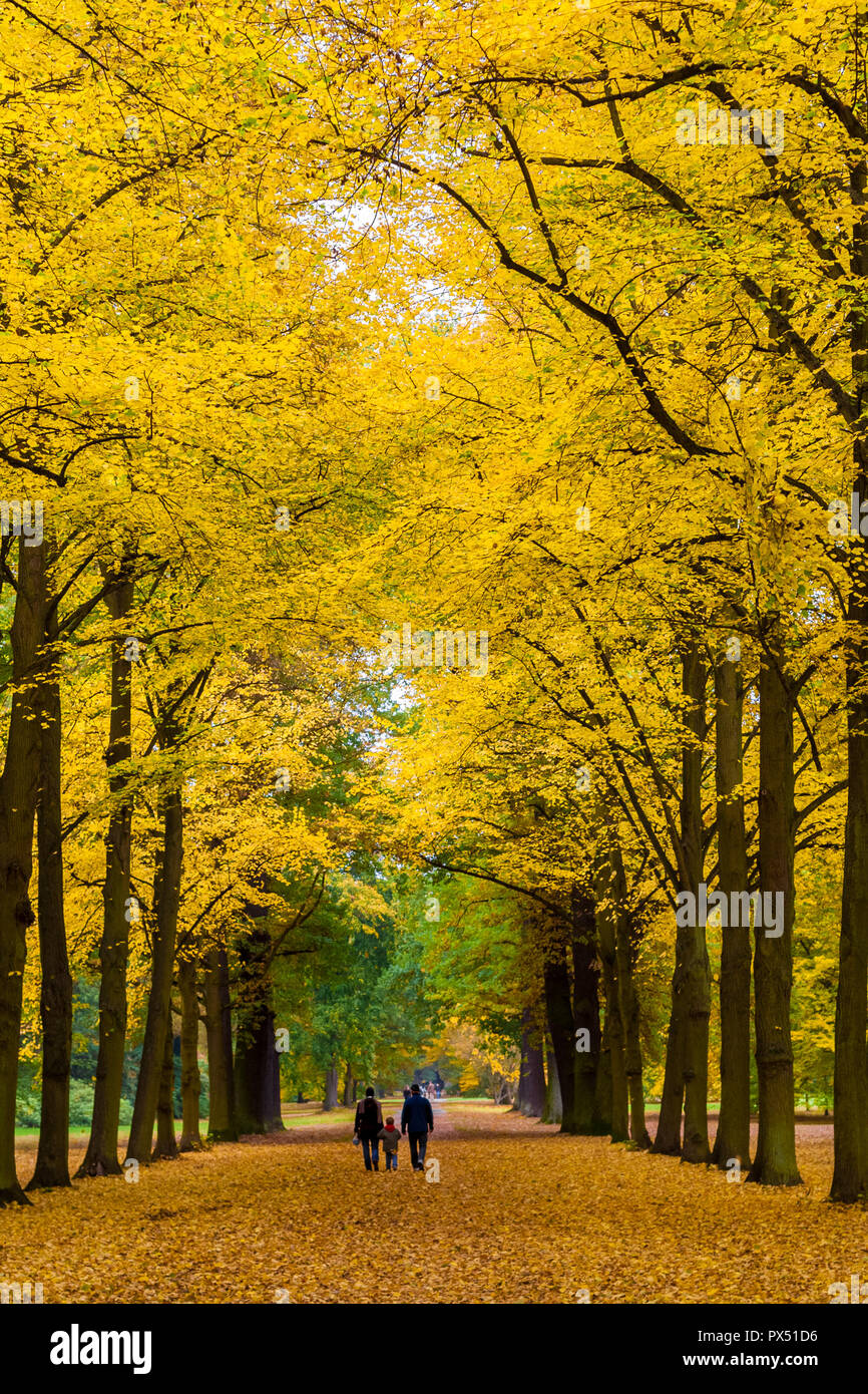 Stupenda scena di una famiglia a piedi attraverso un albero avenue in un parco a Kassel in Germania. I grandi alberi sono indossare i loro golden fogliame di autunno e la... Foto Stock