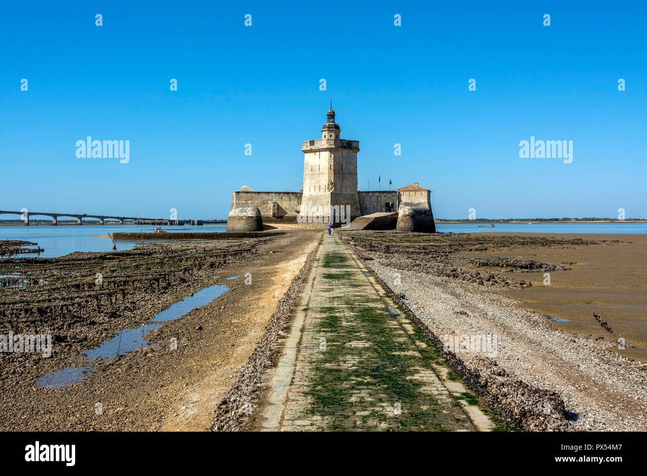 Fort Louvois, Charente Maritime, Nouvelle-Aquitaine, Francia Foto Stock