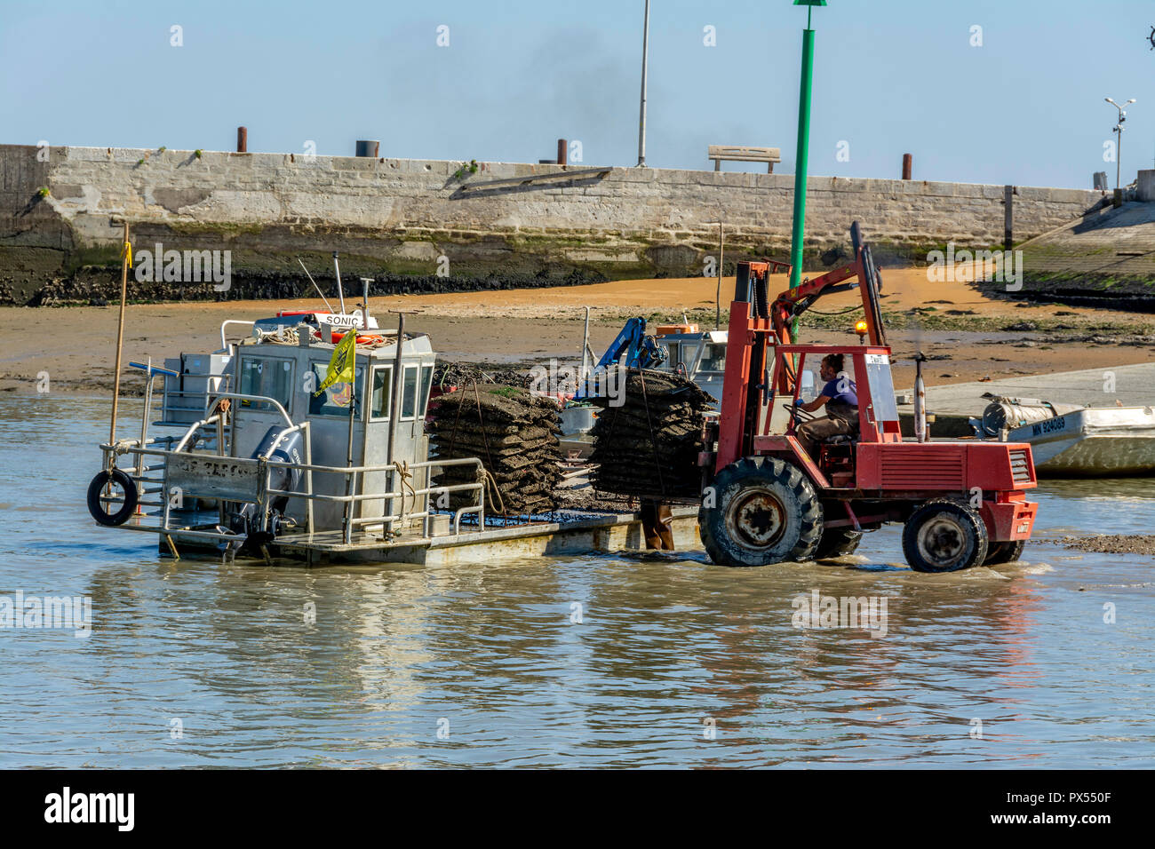 Fort Louvois porto di pescatori, Chapus porta, Charente Maritime, Nouvelle-Aquitaine, Francia Foto Stock