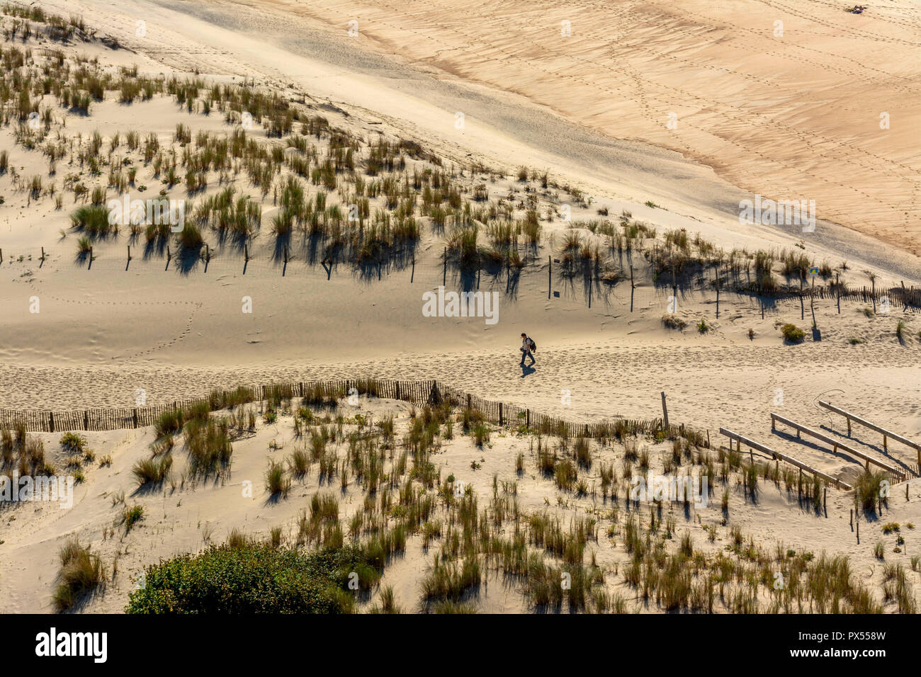Spiaggia e Oceano Atlantico vicino al faro di La Coubre, La Tremblade, Charente Maritime, Nouvelle-Aquitaine, Francia Foto Stock
