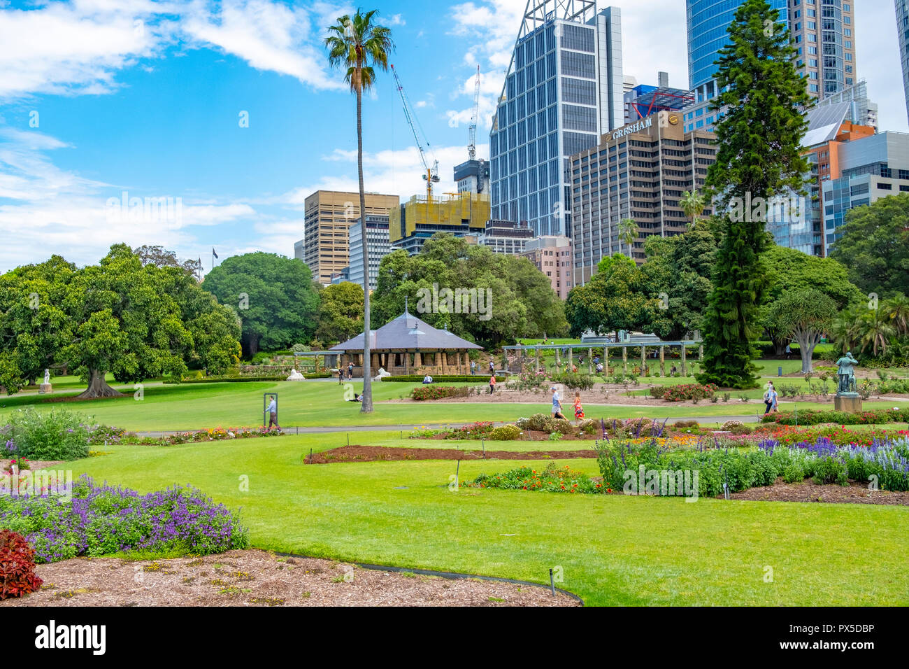 Royal Botanic Garden di Sydney con elevato aumento edifici per uffici su Macquarie Street,centro di Sydney, Nuovo Galles del Sud, Australia Foto Stock