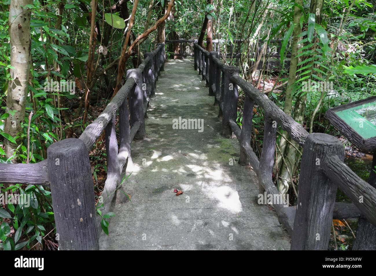 Ponte pedonale bella foresta nella natura Foto Stock