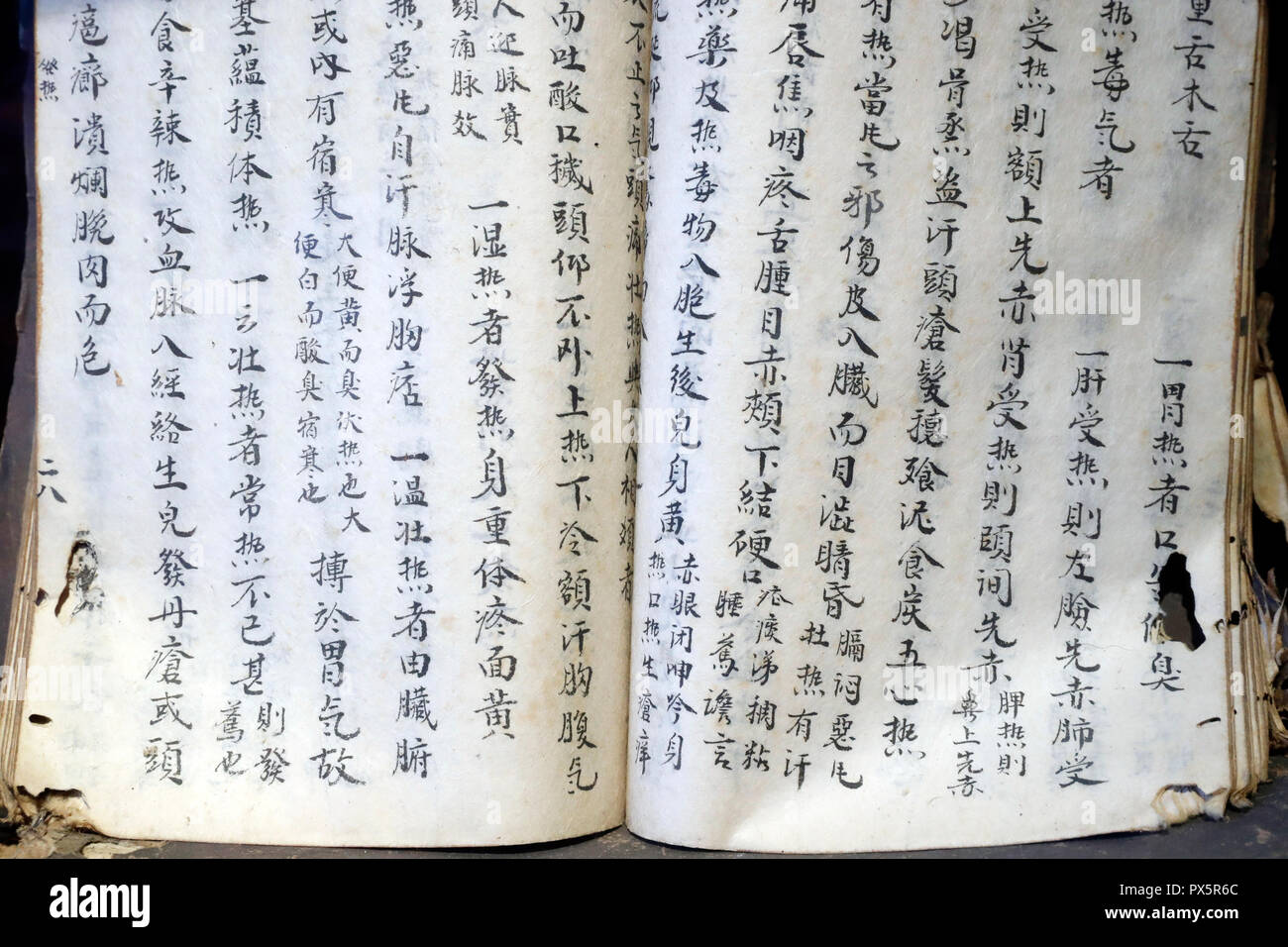 Museo della tradizionale medicina vietnamita. Antica medicina orientale libro in cinese. Ho Chi Minh City. Il Vietnam. Foto Stock