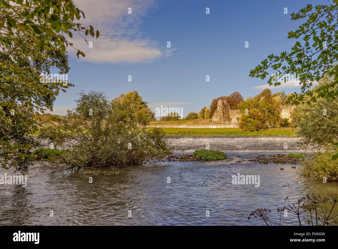 Un bosco con il Fiume Derwent che scorre a valle da uno stramazzo. Il vecchio monastero rovine di Kirkham Priory può essere visto in lontananza. Foto Stock