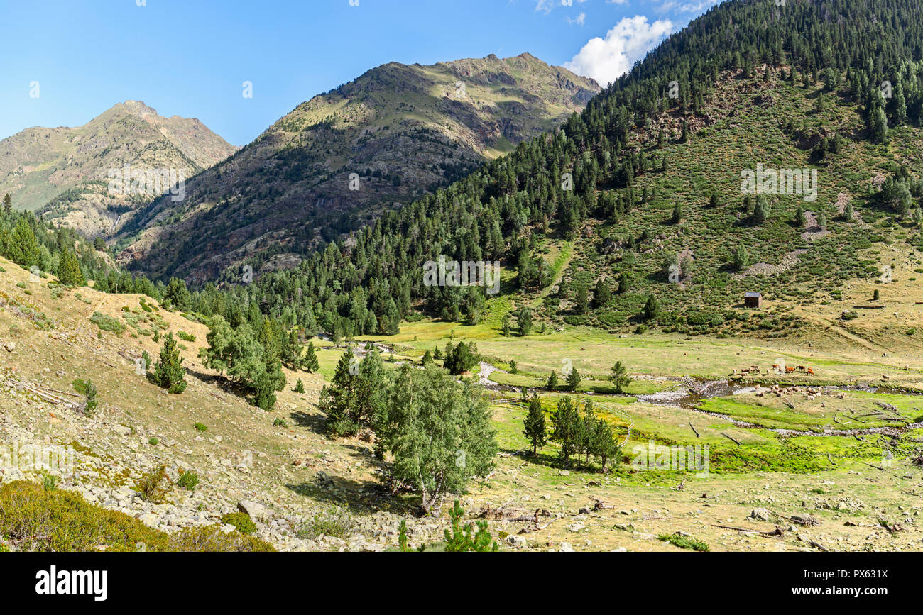 Bel paesaggio di alti Pirenei in Pallars Sobira, la Catalogna Foto Stock