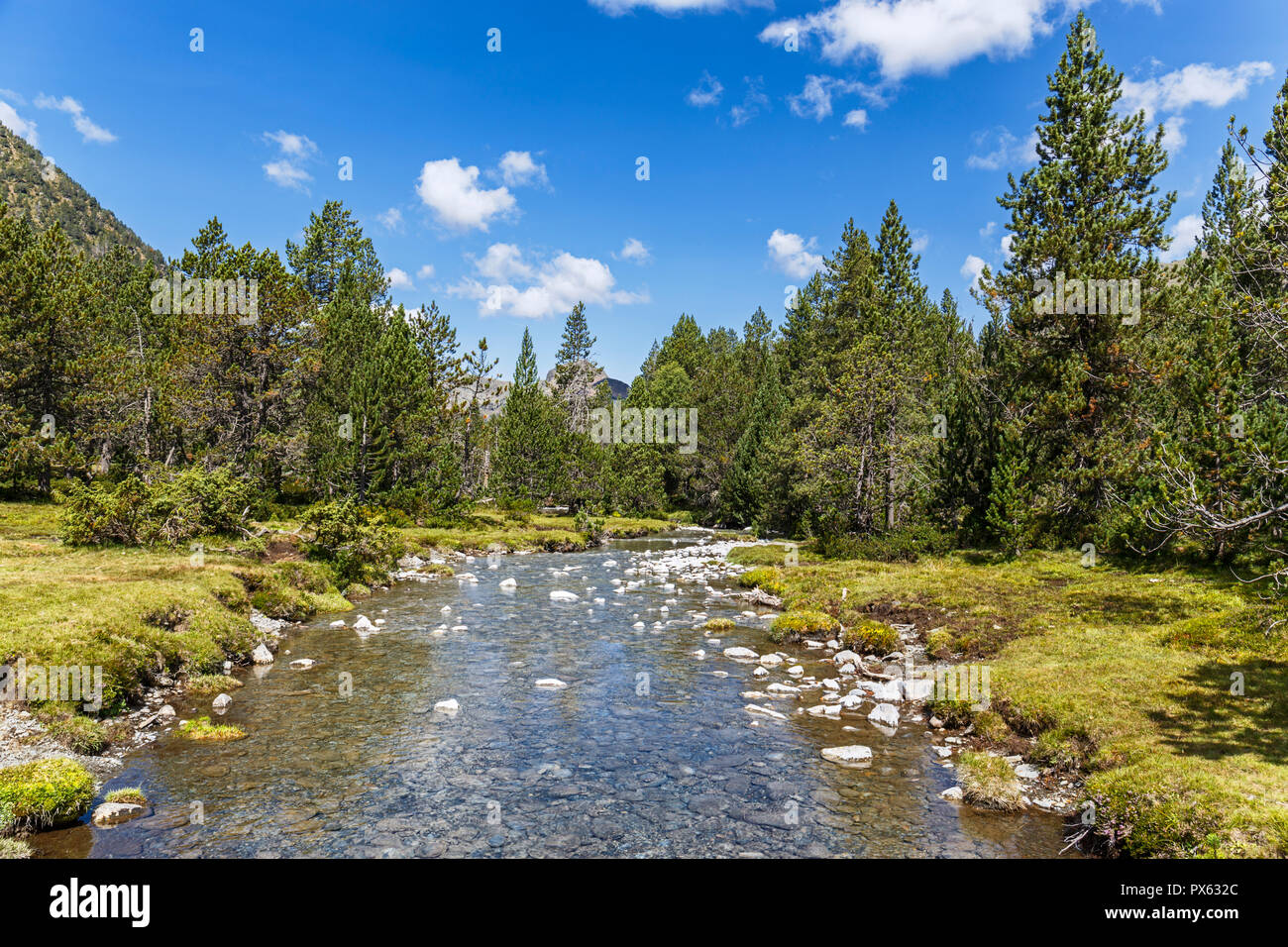Il fiume dei Pirenei catalani Foto Stock