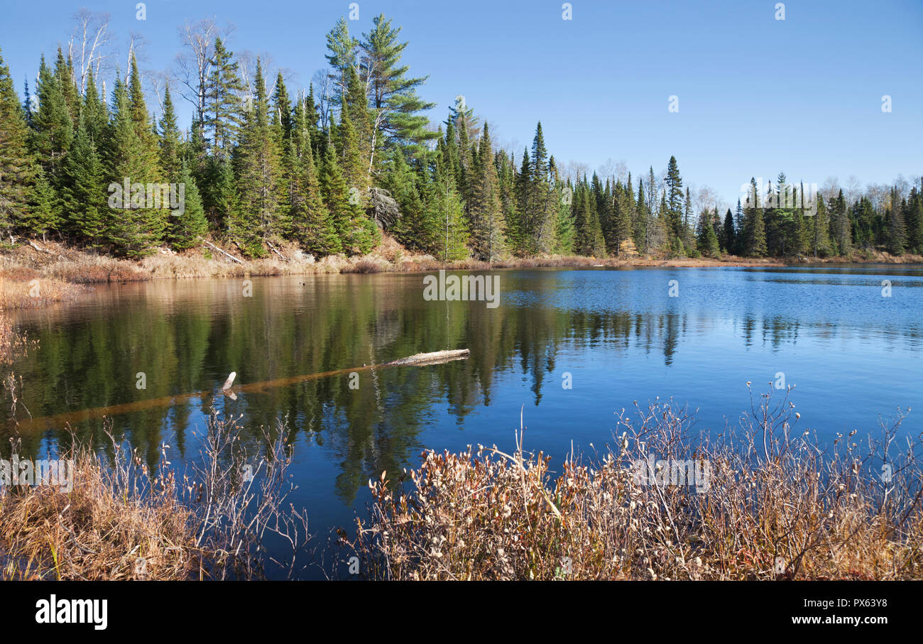 Trote piccole lago nel nord del Minnesota con bellissime acque azzurre e alberi di pino sulla sponda Foto Stock