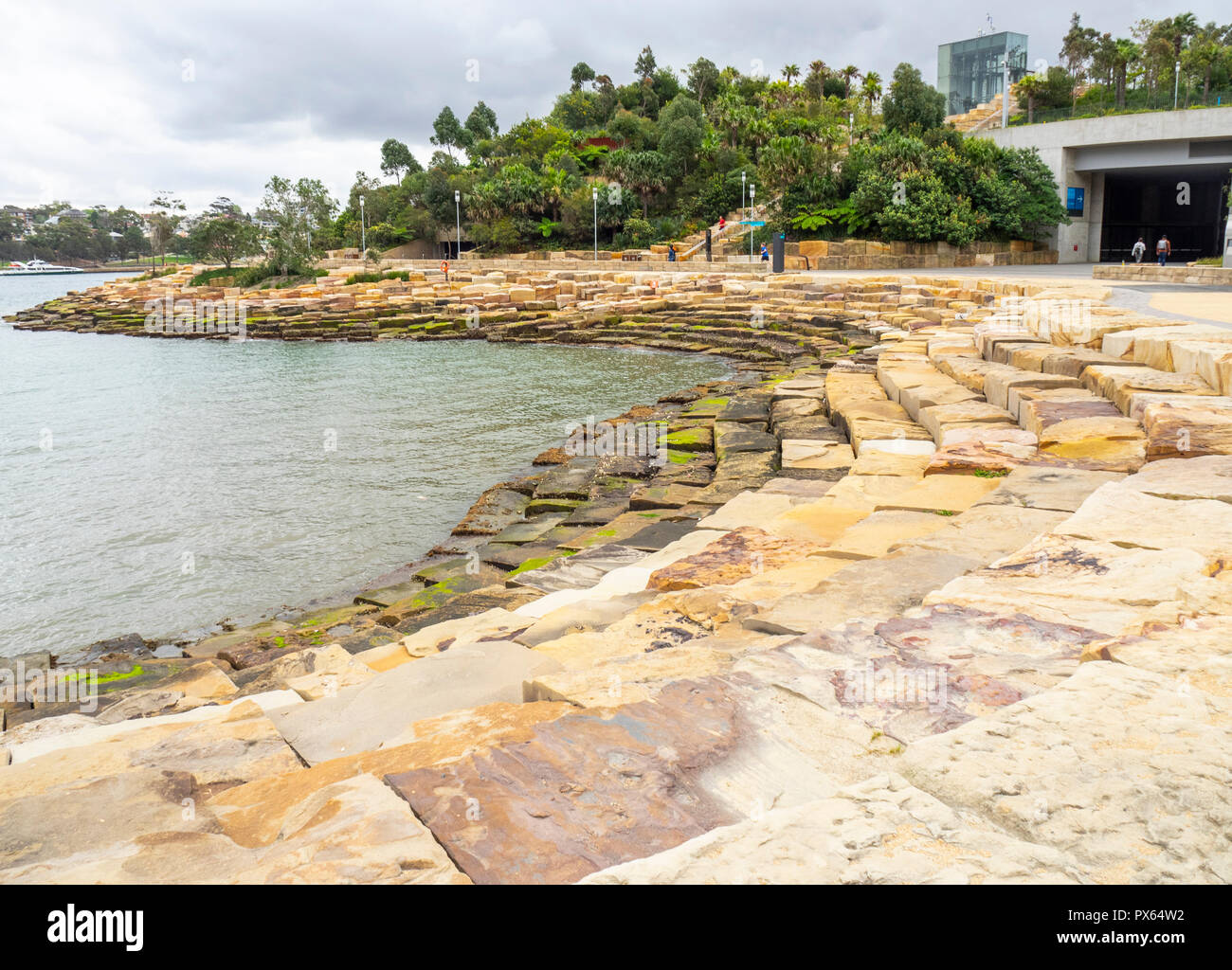 Nawi Cove e ripristinato Barangaroo parco riserva Sydney NSW Australia. Foto Stock