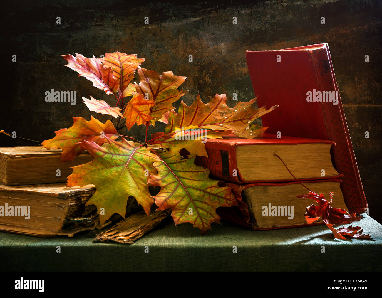 Natura Morta Con Libri E Foglie Di Autunno Colori Autunnali Ramo Di Quercia Foto Stock Alamy