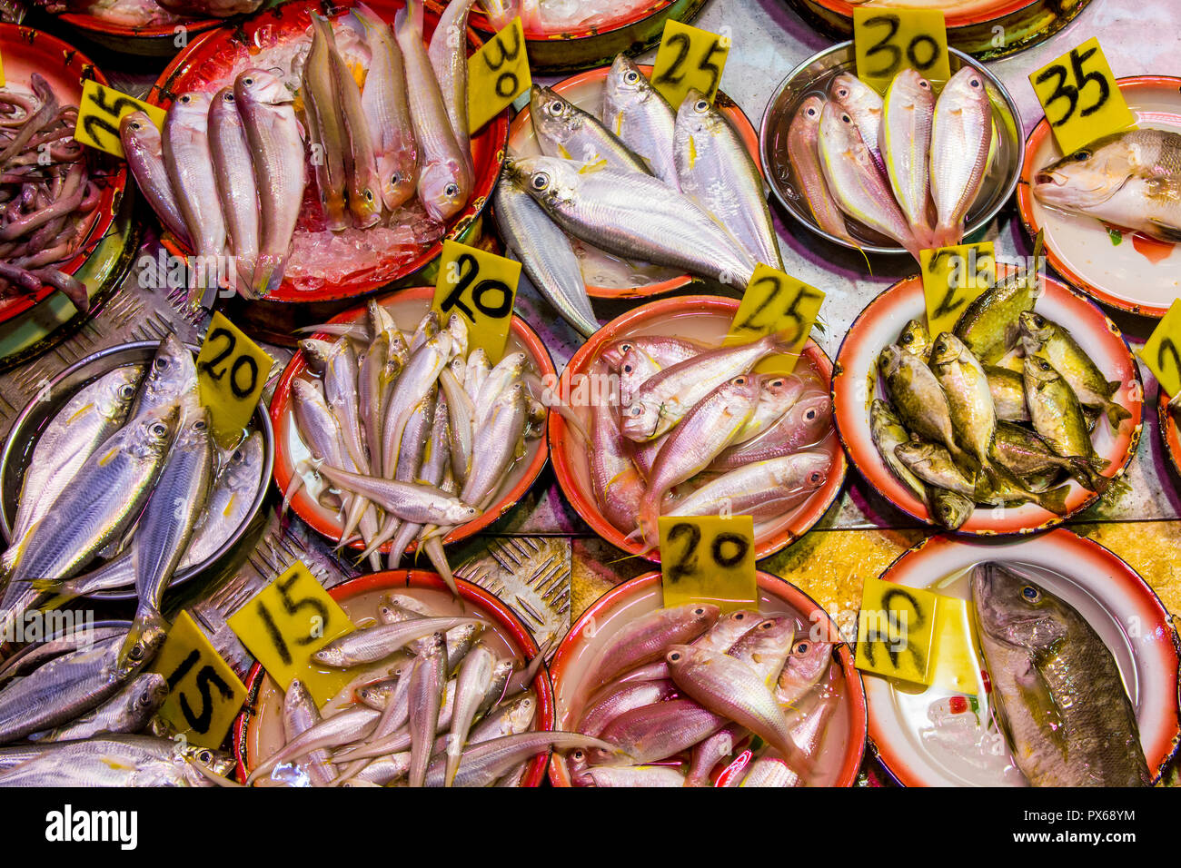 I fornitori di pesce su Canton Road, Mongkok, Kowloon, Hong Kong, Cina. Foto Stock
