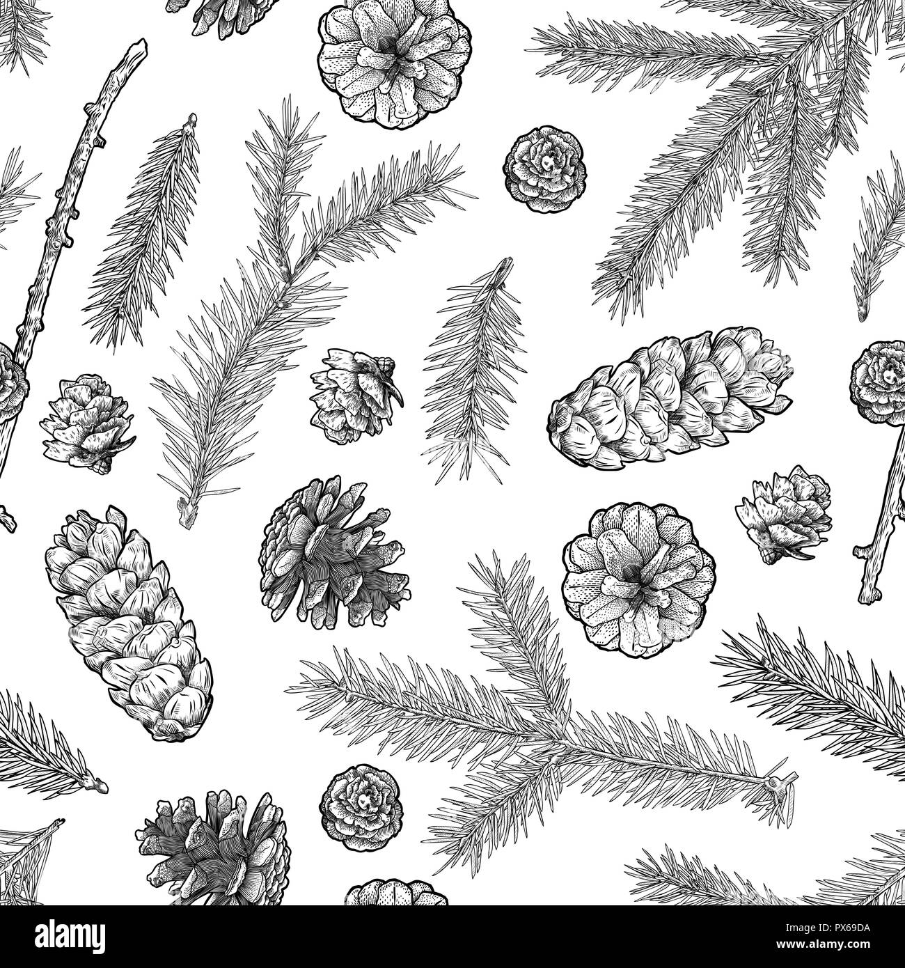 Abete rami e coni pattern seamless isolato su bianco Illustrazione Vettoriale