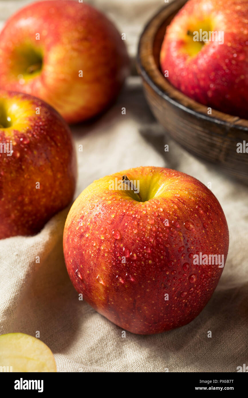 Materie organiche rosso invidia mele pronto a mangiare Foto Stock