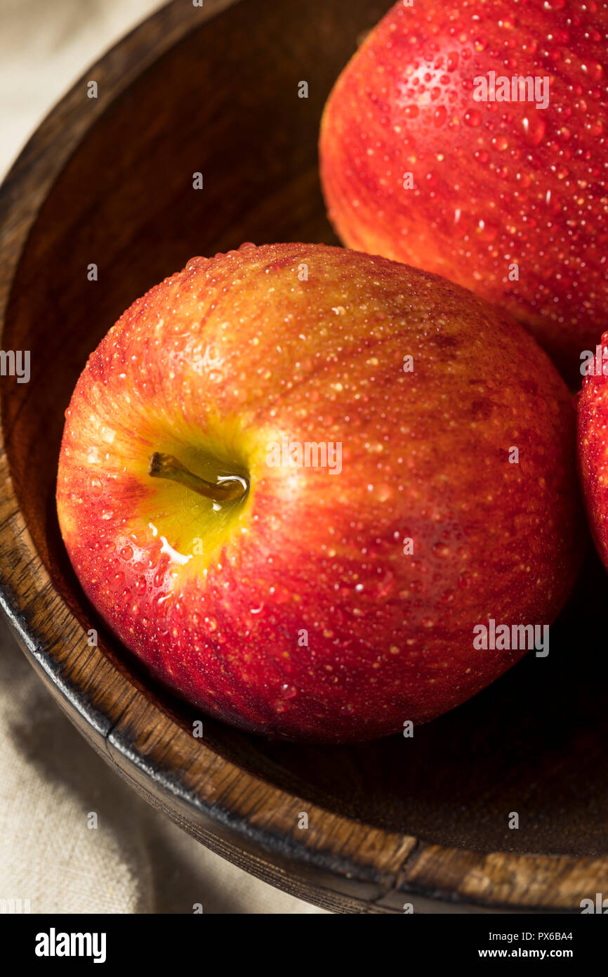 Materie organiche rosso invidia mele pronto a mangiare Foto Stock