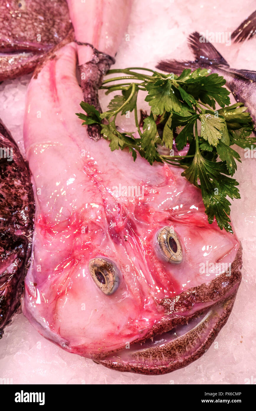 Diavolo di mare faccia rana pescatrice su ghiaccio, mercato dei pescatori Palma di Maiorca, Spagna Foto Stock