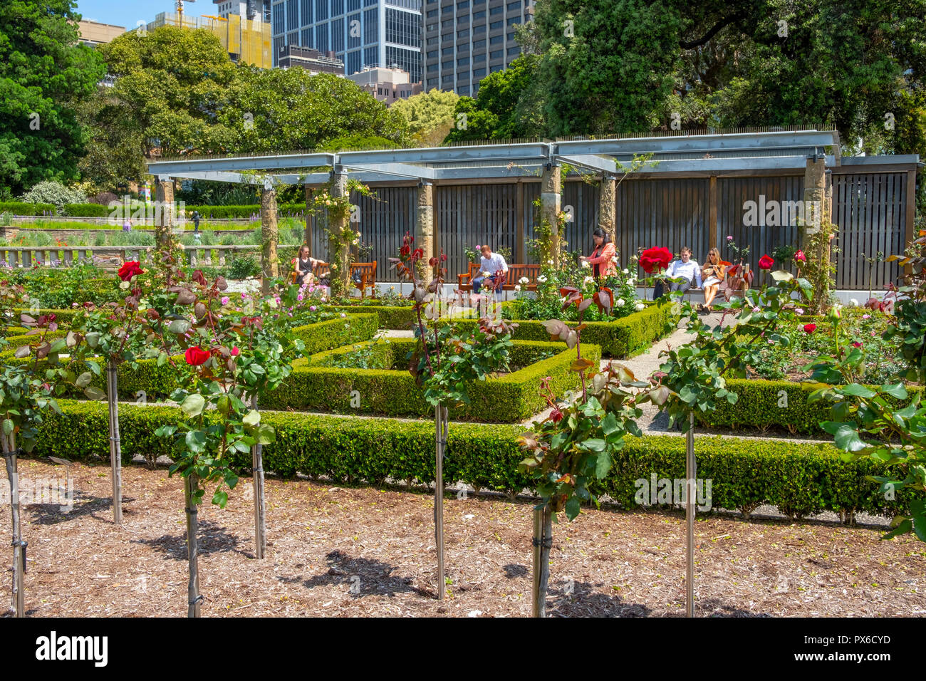 Palazzo Giardino di Rose e rose in Royal Botanic Garden,centro di Sydney, Nuovo Galles del Sud, Australia Foto Stock