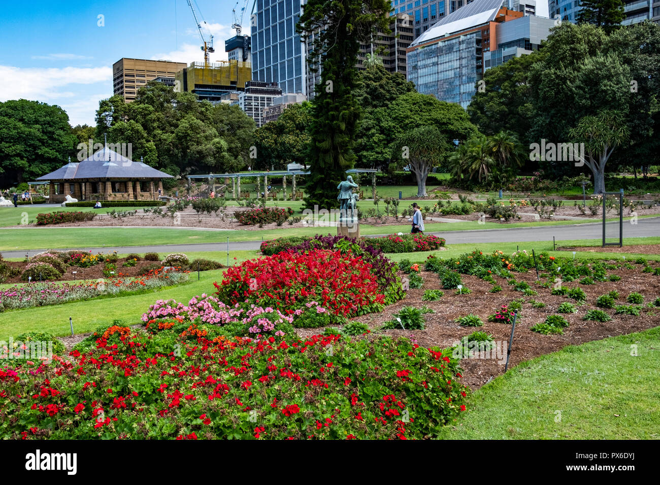 Il Royal Botanic Garden nel centro di Sydney, Nuovo Galles del Sud, Australia Foto Stock