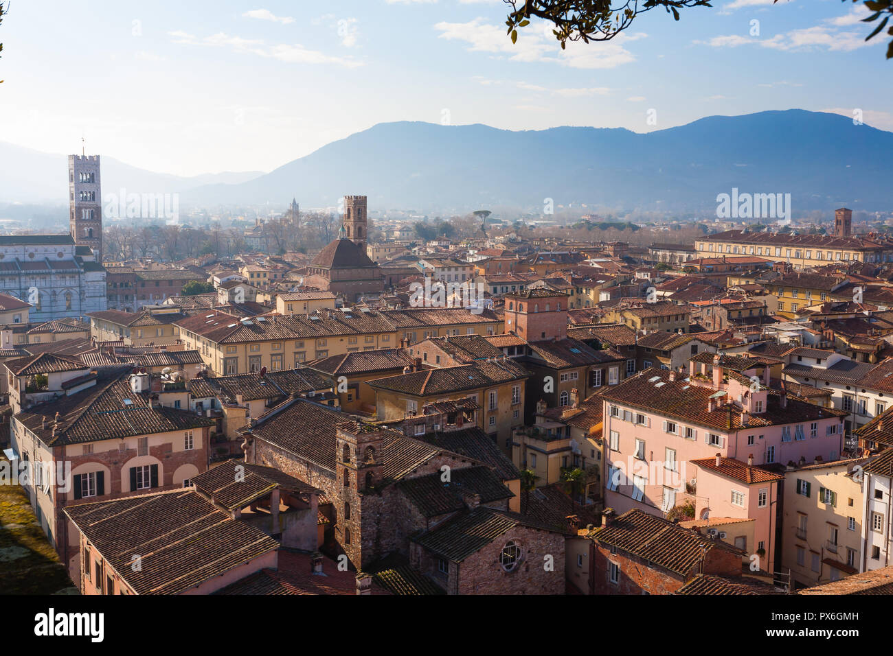 Lucca da Torre Guinigi. Punto di riferimento italiano. Vista aerea di Lucca. Foto Stock