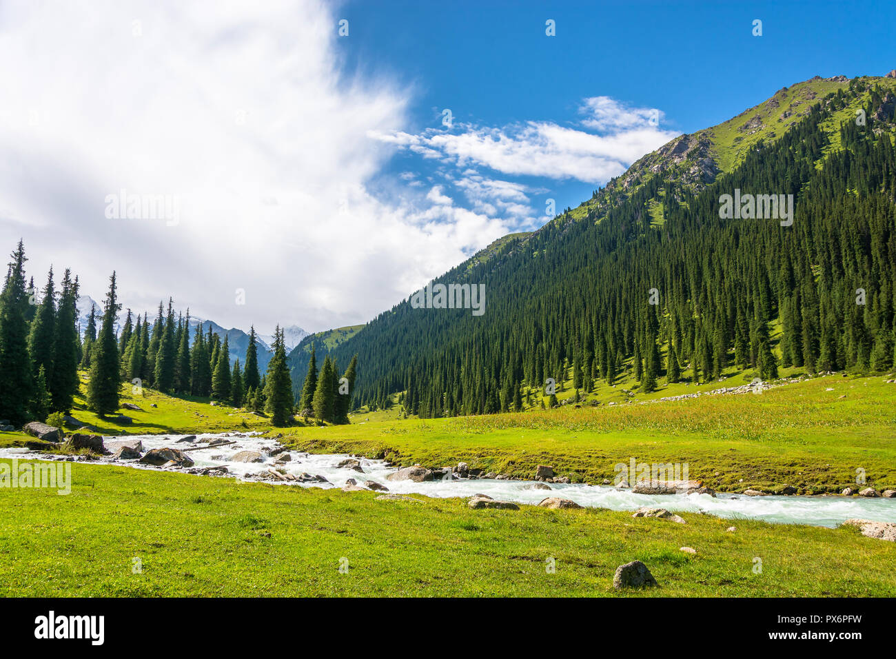 Bellissimo paesaggio di montagna con un fiume turbolento in un giorno di estate, il Kirghizistan. Foto Stock