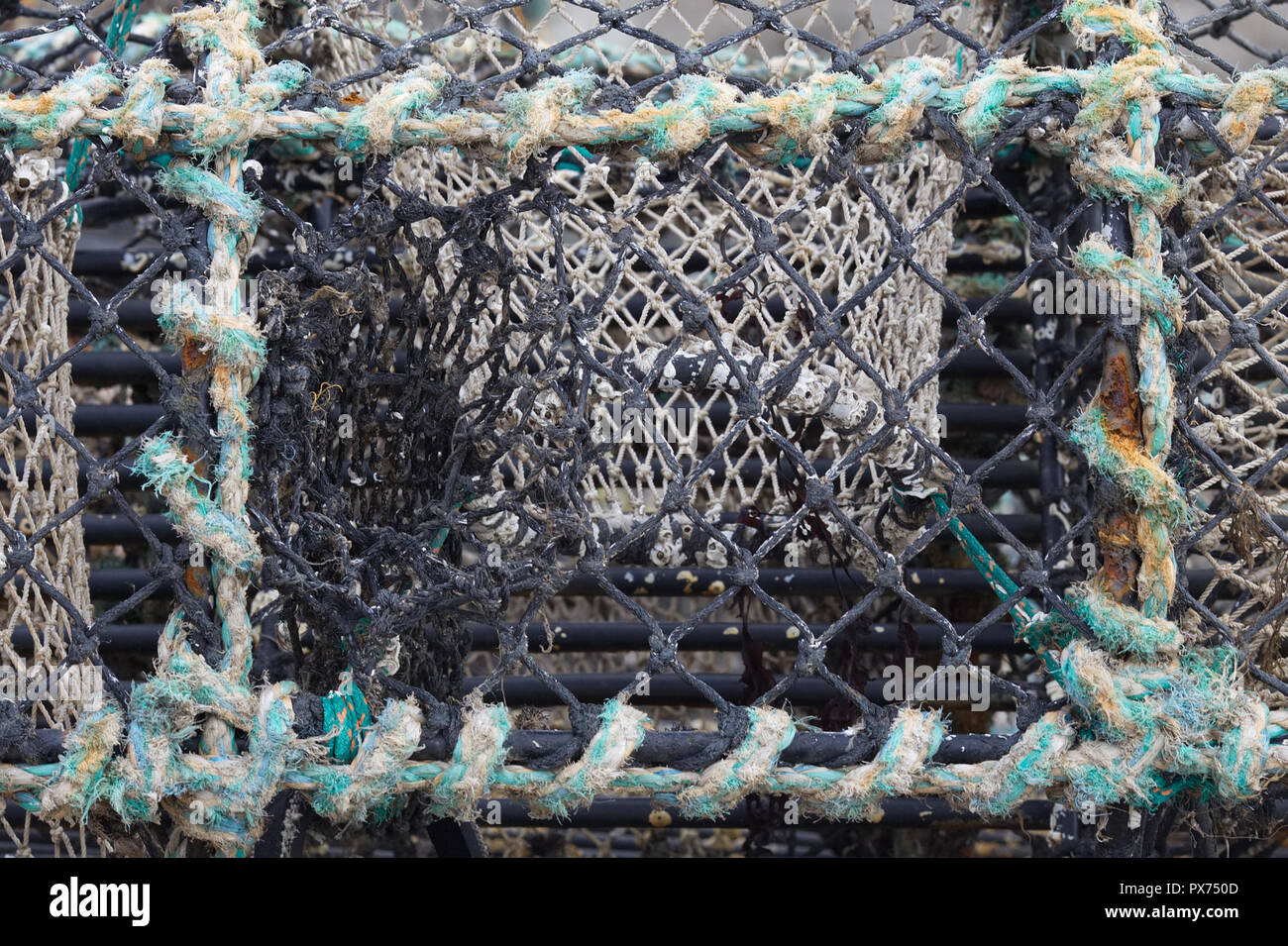 Lobster Pot e attrezzature per la pesca sul porto Foto Stock