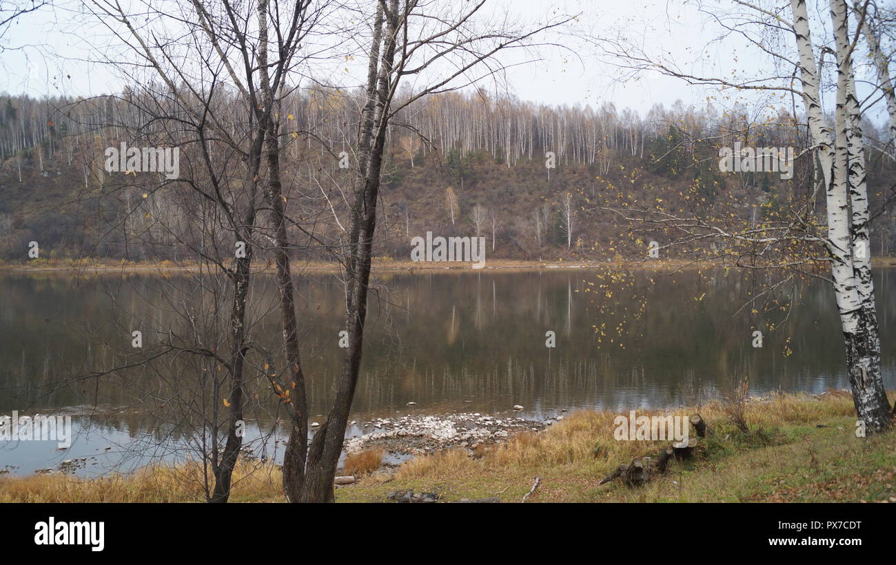 Il parco della città in autunno in Siberia, condizioni atmosferiche avverse, alla fine di ottobre Foto Stock
