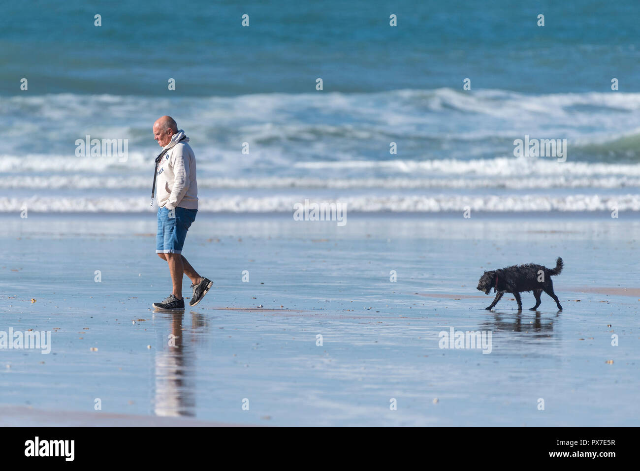 Un dog walker su Fistral Beach in Newquay in Cornovaglia. Foto Stock