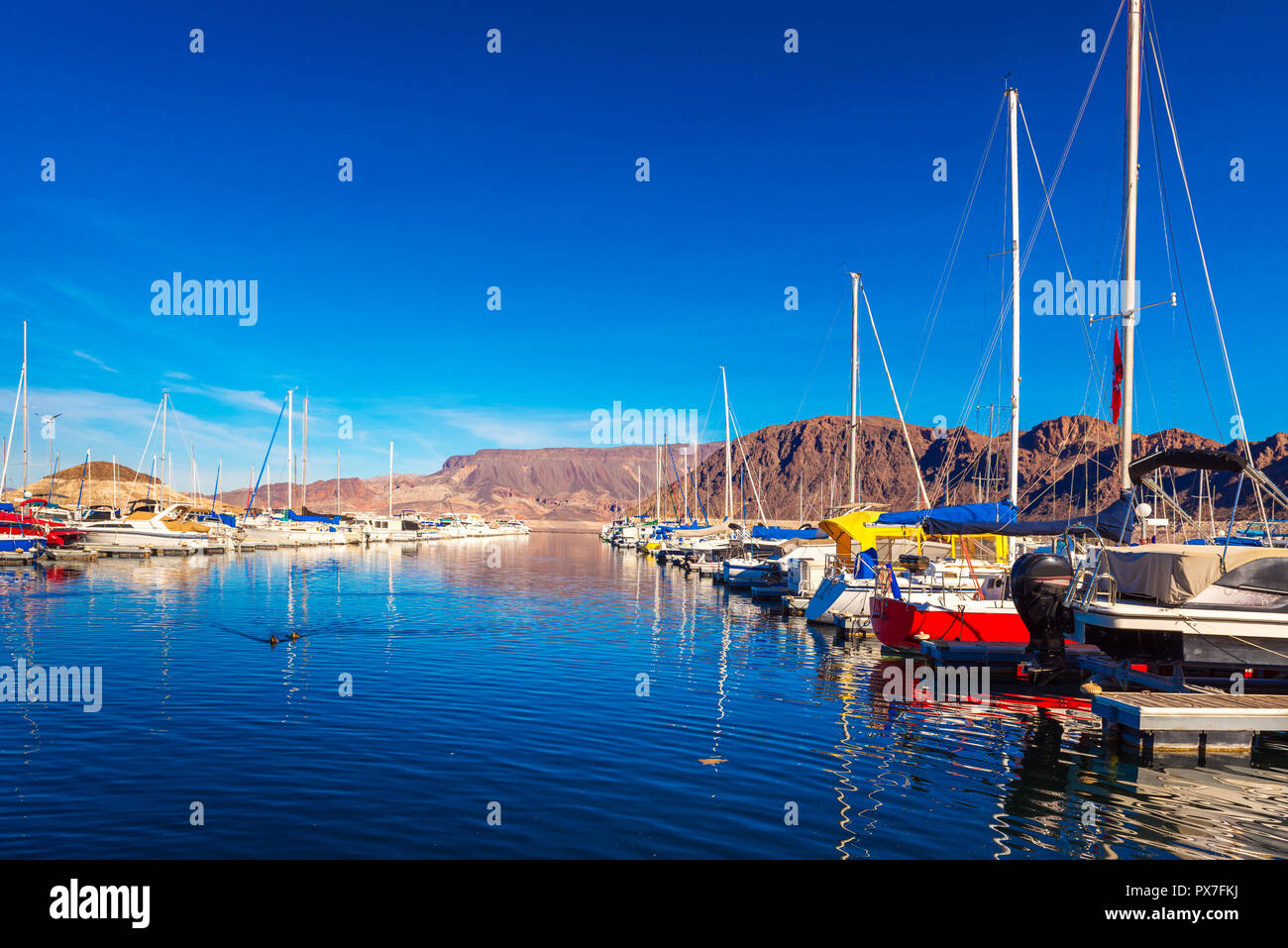 Vista del porto sul Lago Mead, Nevada, Stati Uniti d'America. Copia spazio per il testo Foto Stock