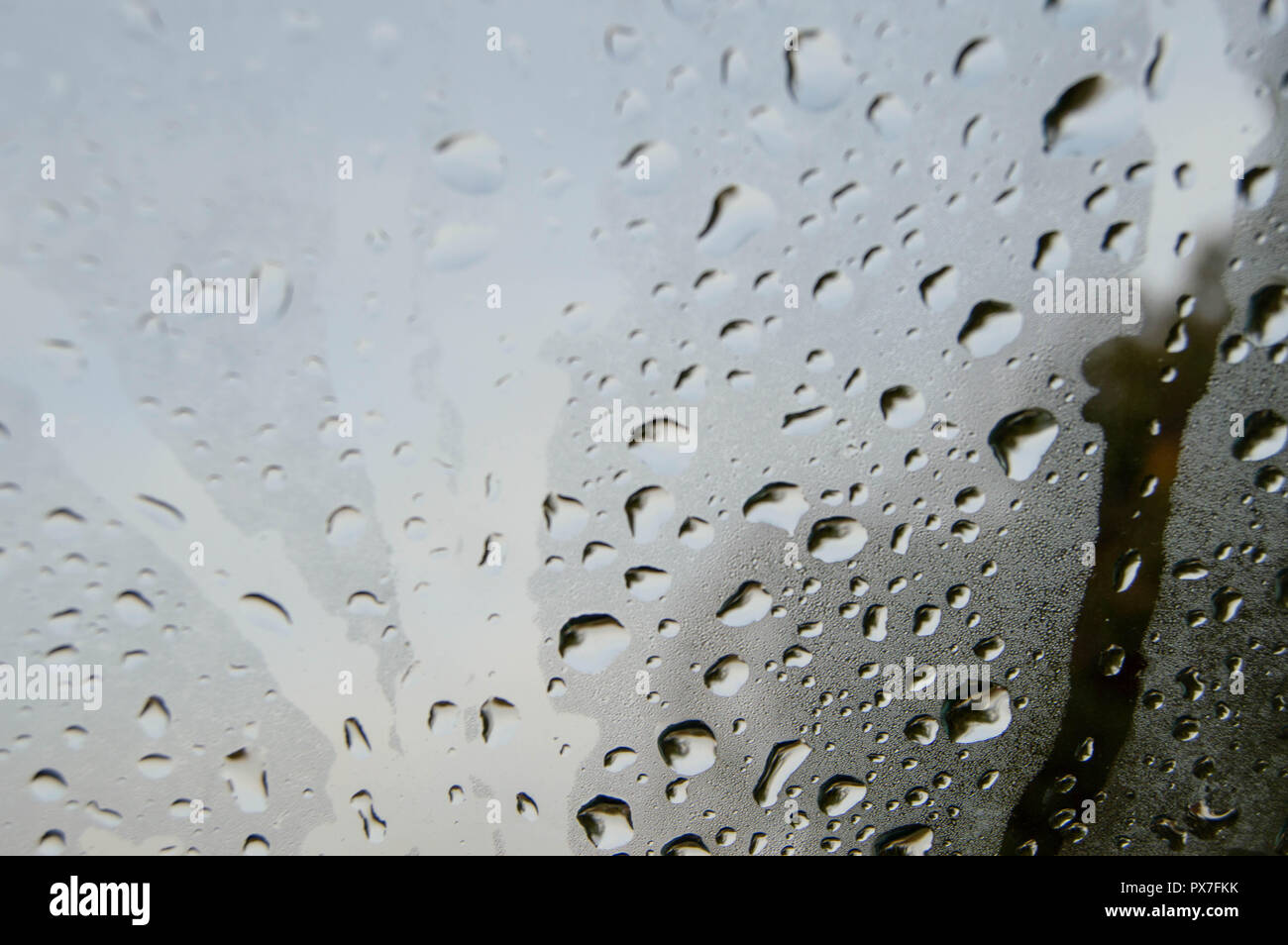 La pioggia sulla finestra Foto Stock