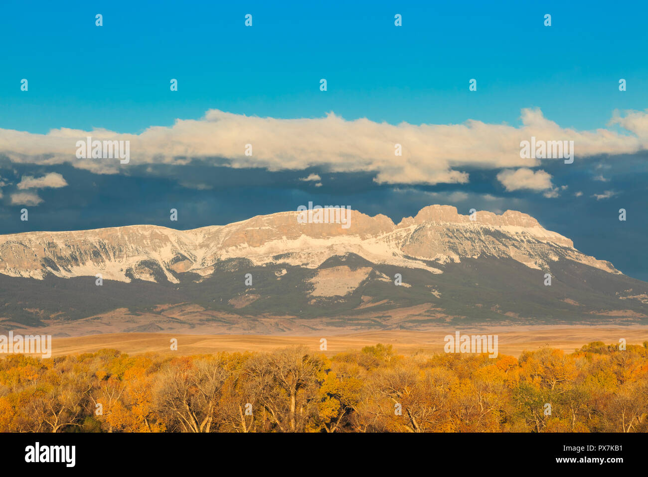 A dente di sega di crinale lungo il Rocky Mountain Front sopra cottonwoods in autunno a colori nei pressi di Augusta, montana Foto Stock