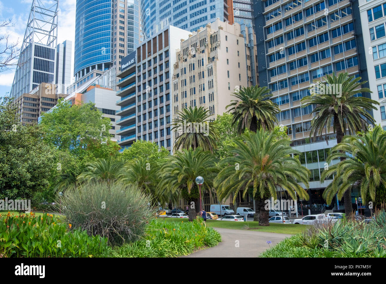 Le palme del giardino botanico reale e grattacieli in Macquarie Street, Sydney, Australia Foto Stock