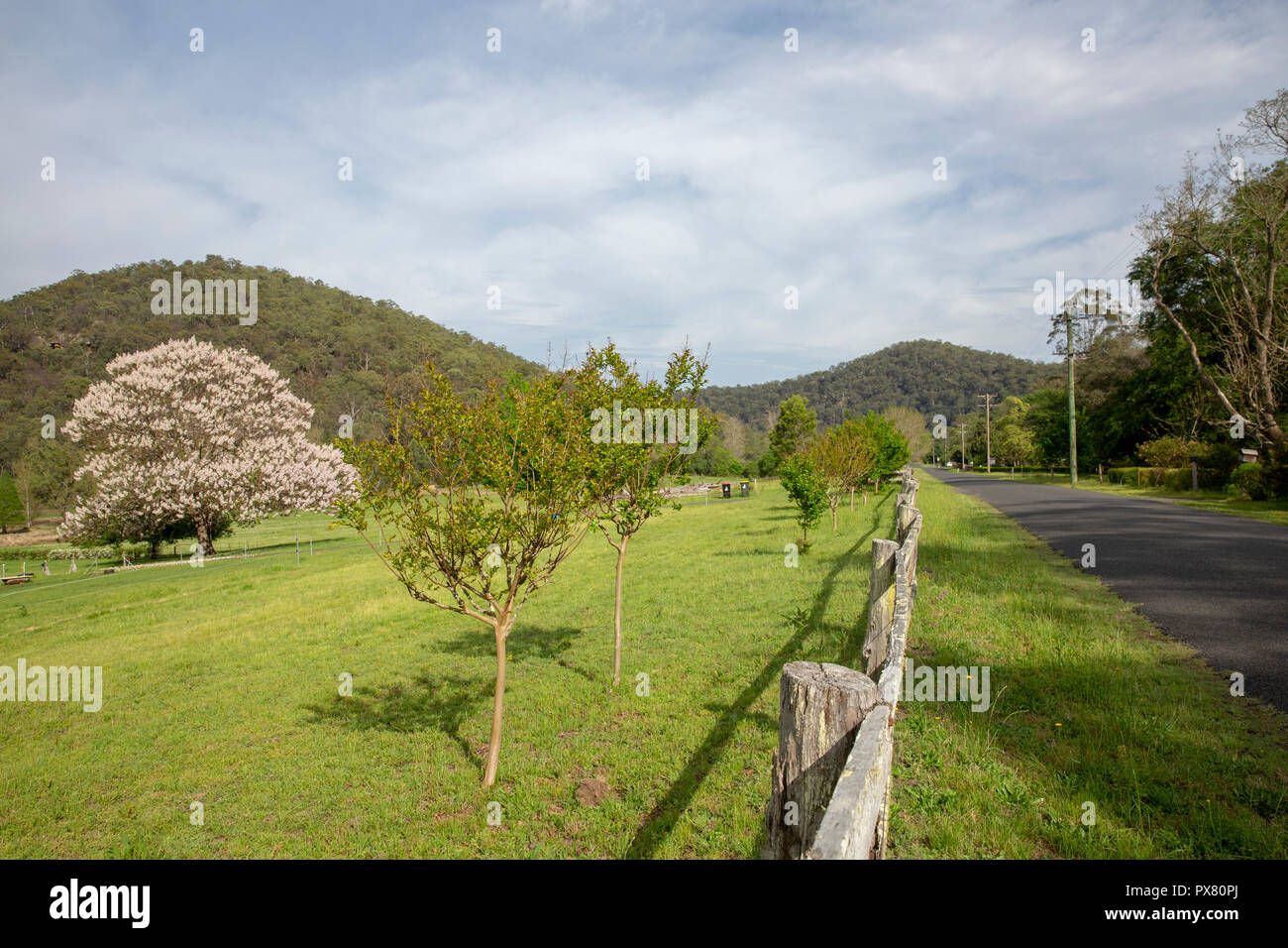 Il verde lussureggiante campagna intorno al fiume Colo in alto Colo, Nuovo Galles del Sud, Australia Foto Stock