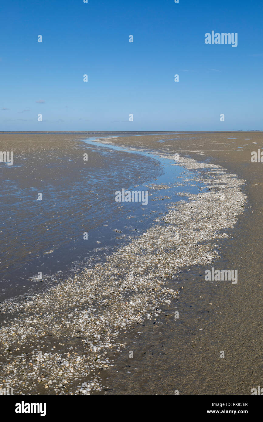 Piccolo fiume che scorre sulla spiaggia in mare, la baia della Somme, Piccardia, Francia Foto Stock