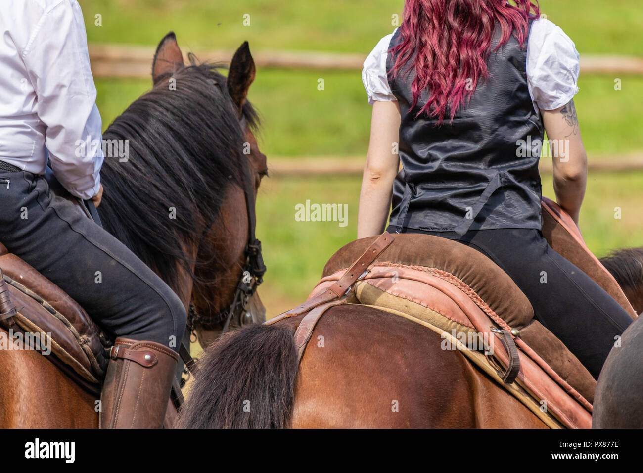 Cavallo femmina rider, leader di un partito di caccia durante un tradizionale paese equestre show. Sport all'aperto, gli amanti degli animali, giornata soleggiata, illuminazione naturale. Foto Stock