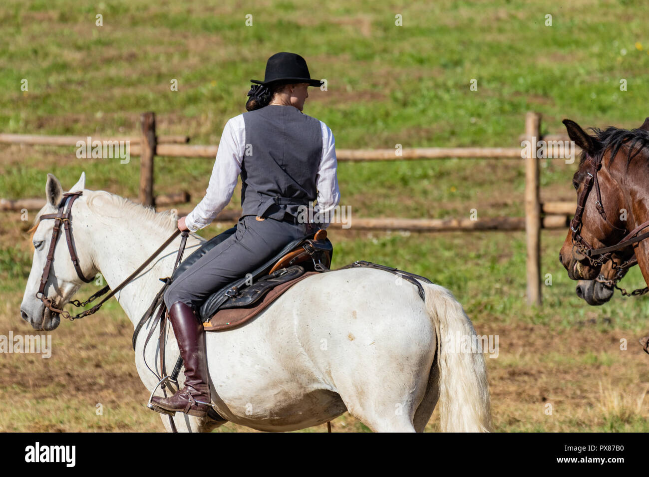 Cavallo femmina rider, leader di un partito di caccia durante un tradizionale paese equestre show. Sport all'aperto, gli amanti degli animali, giornata soleggiata, illuminazione naturale. Foto Stock