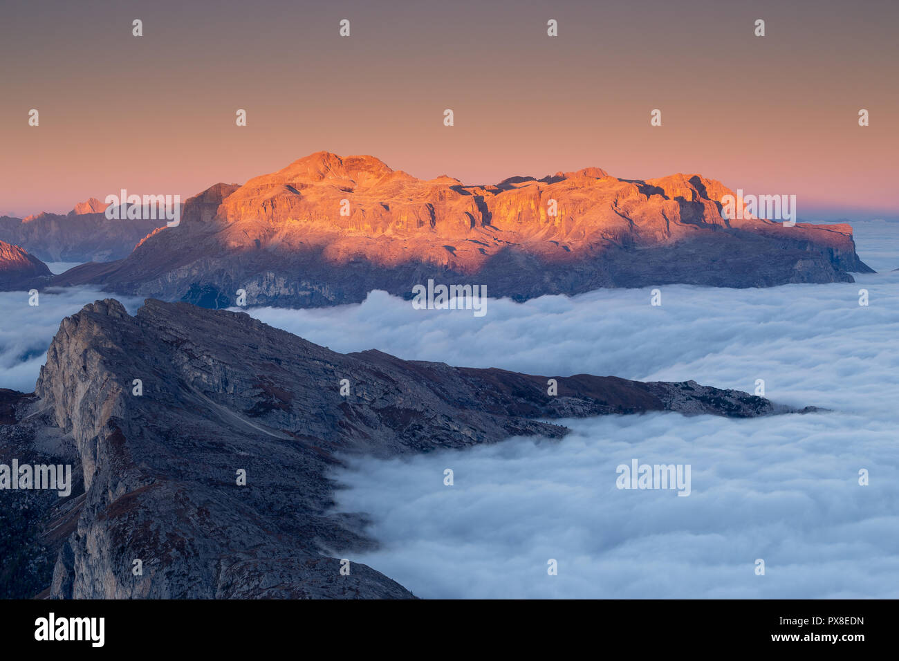 Alpenglow sul gruppo montuoso del Sella all'alba. Marea di nuvole. Le Dolomiti. Alpi Italiane. Europa. Foto Stock