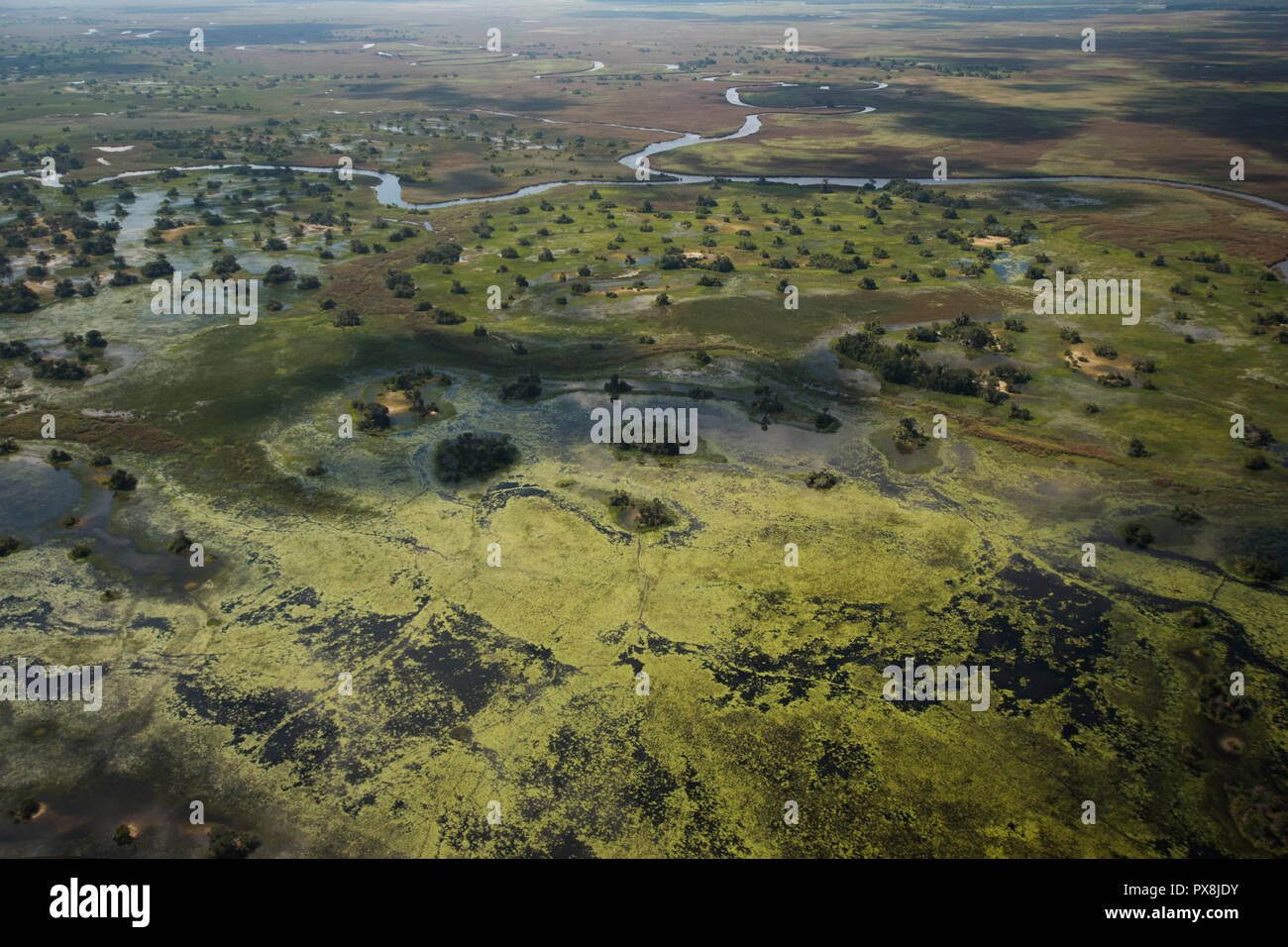 Una veduta aerea catturare i modelli di moto vorticoso di lussureggiante vegetazione, acqua e terra di Okavango Delta, Botswana Foto Stock