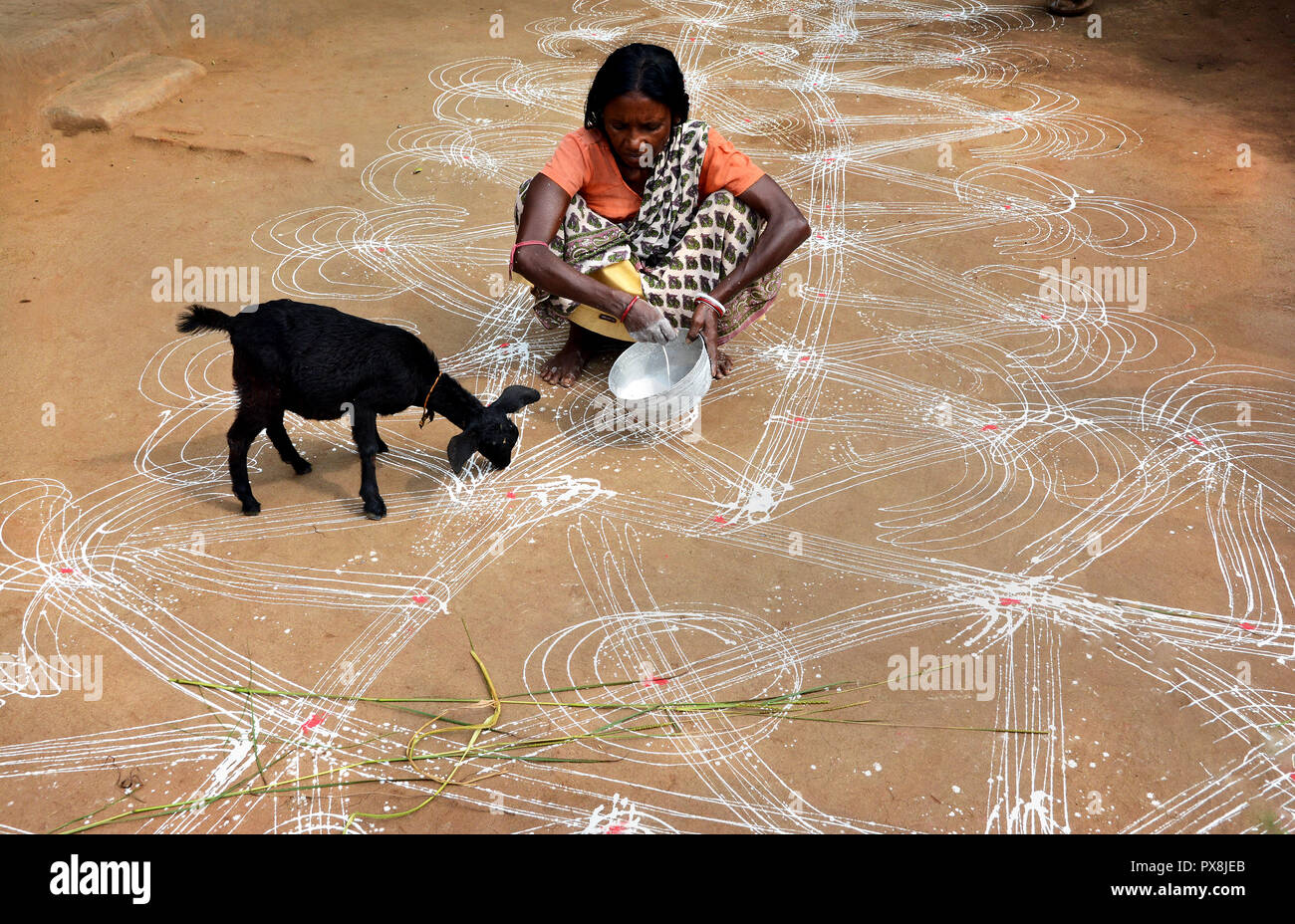 Badna o Sohrai è uno dei più grandi festival tra Santhal persone in India. Badna si celebra quando la piantagione di colture di risone è completata. Foto Stock