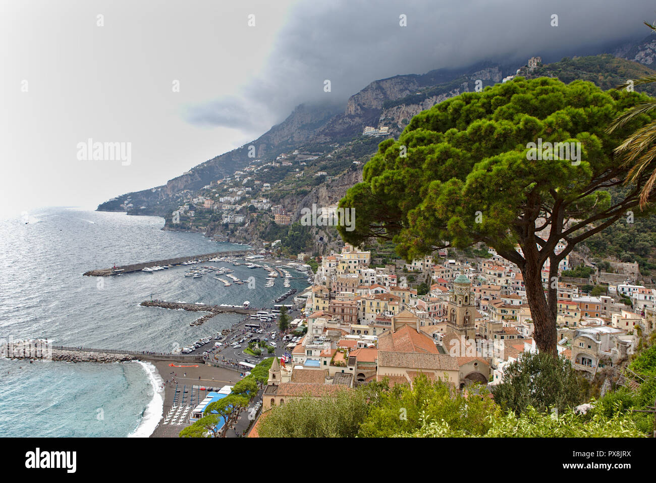 Vista di Amalfi dal di sopra con pino in primo piano Foto Stock
