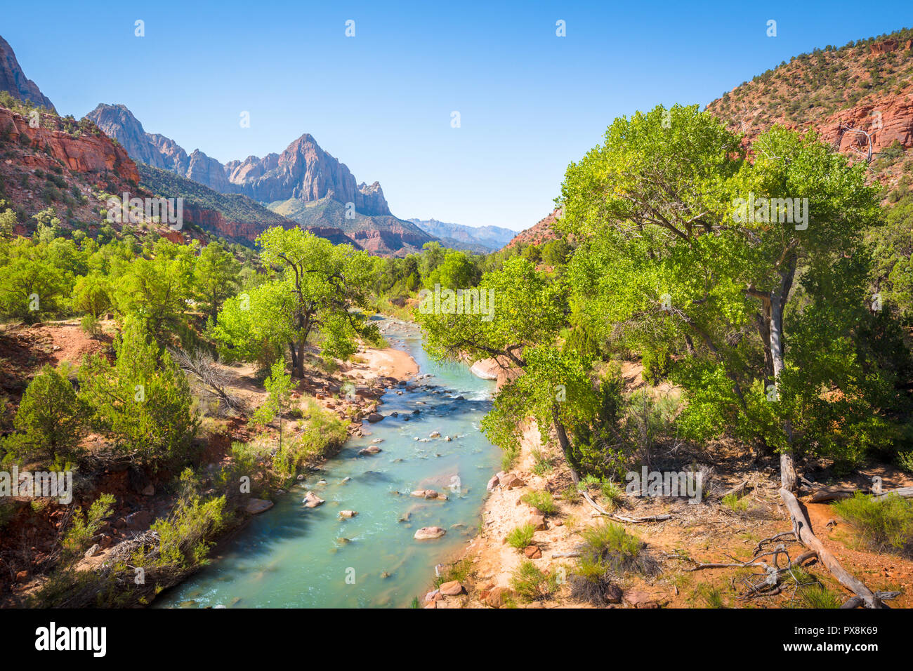 Parco Nazionale di Zion scenario con il famoso fiume vergine e la sentinella picco di montagna in background su una bella giornata di sole con cielo blu in estate, Foto Stock