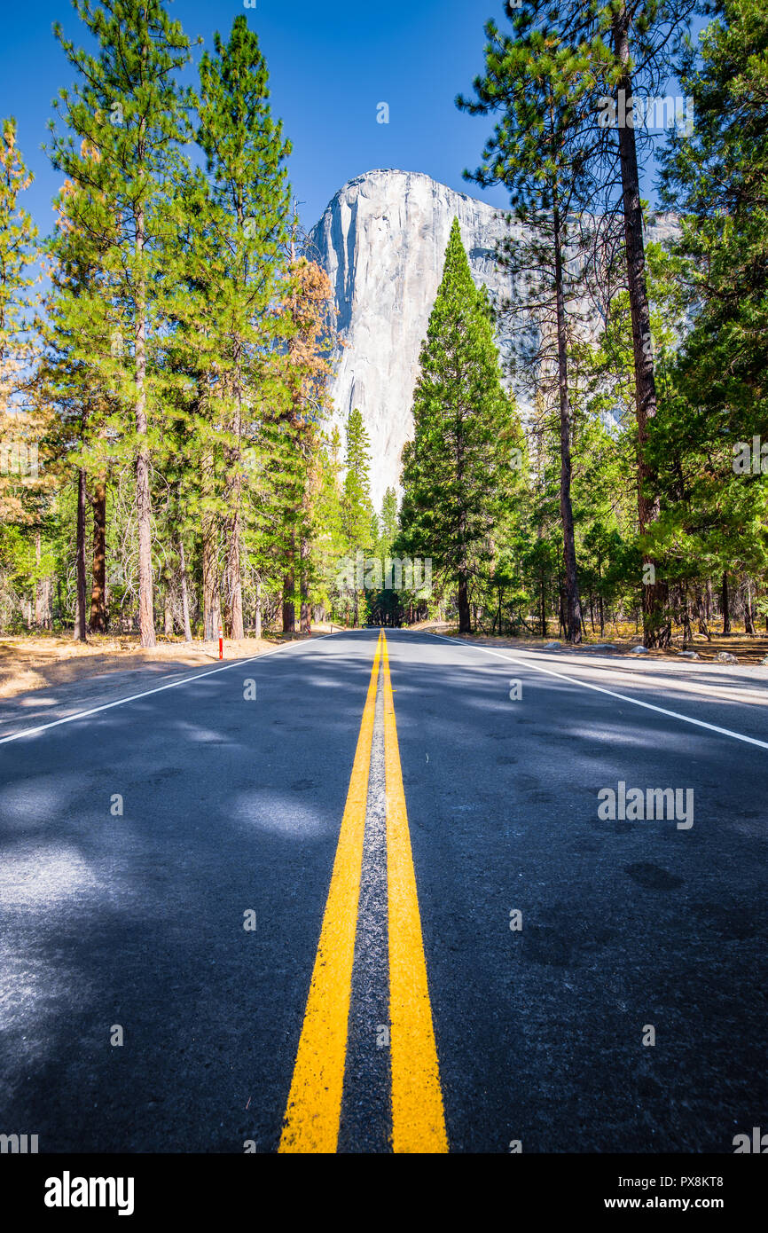 Famoso El Capitan picco di montagna con la strada che attraversa il Parco Nazionale di Yosemite Valley in beautiful Golden. La luce del mattino al sorgere del sole, del Parco Nazionale Yosemite, STATI UNITI D'AMERICA Foto Stock