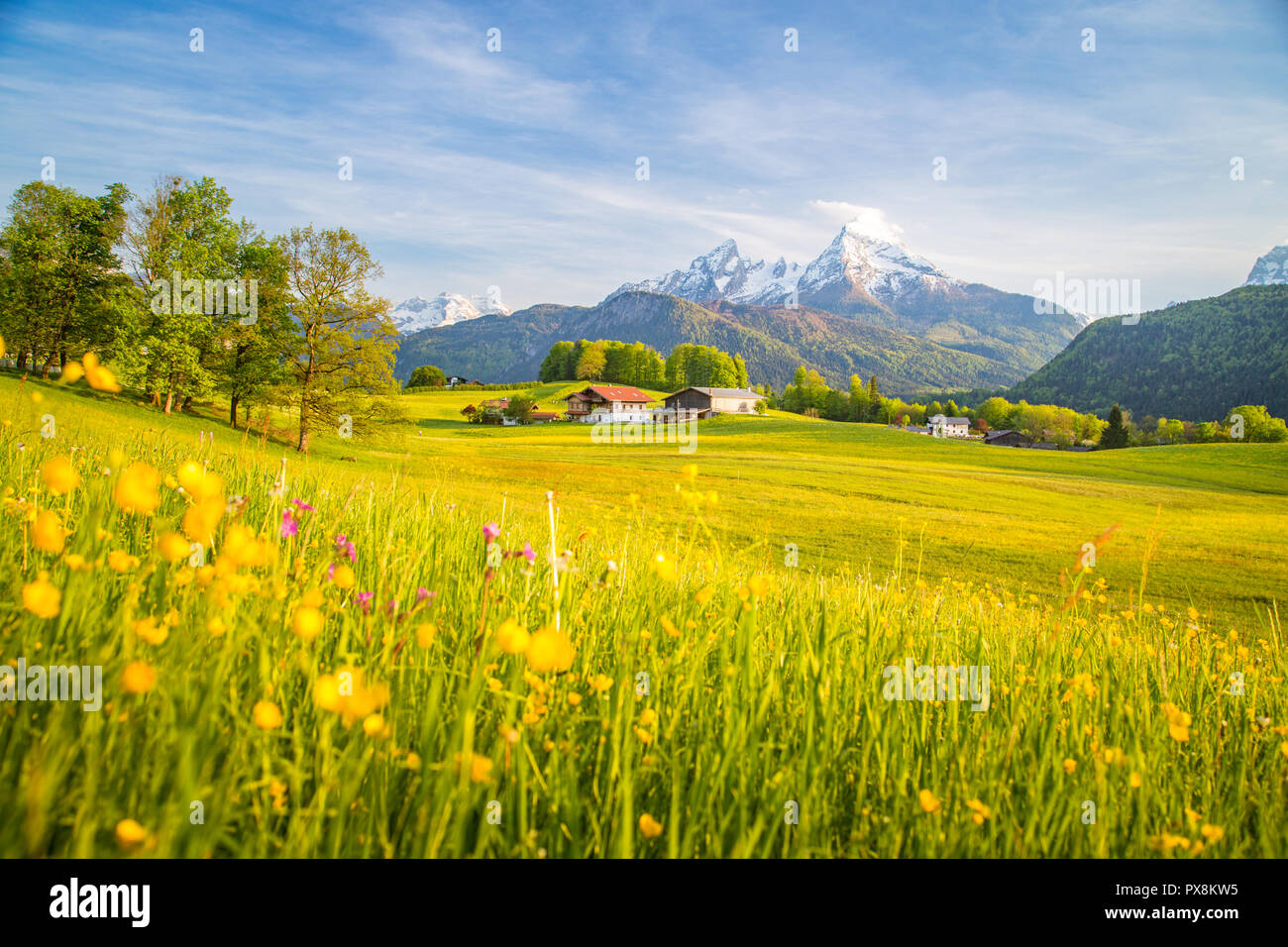 Bella vista della montagna idilliaco paesaggio di montagna con prati in fiore e cime picchi di montagna in una bella giornata di sole con cielo blu in primavera Foto Stock