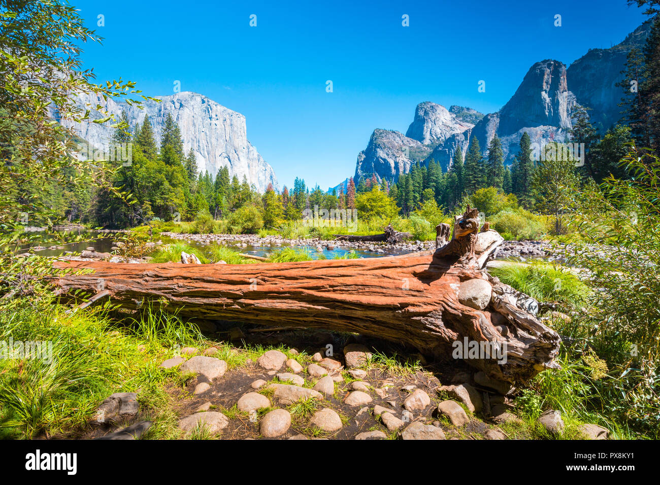 Visualizzazione classica di scenic Yosemite Valley con il famoso El Capitan arrampicata su roccia vertice e idilliaco fiume Merced in una giornata di sole con cielo blu e nuvole in Foto Stock