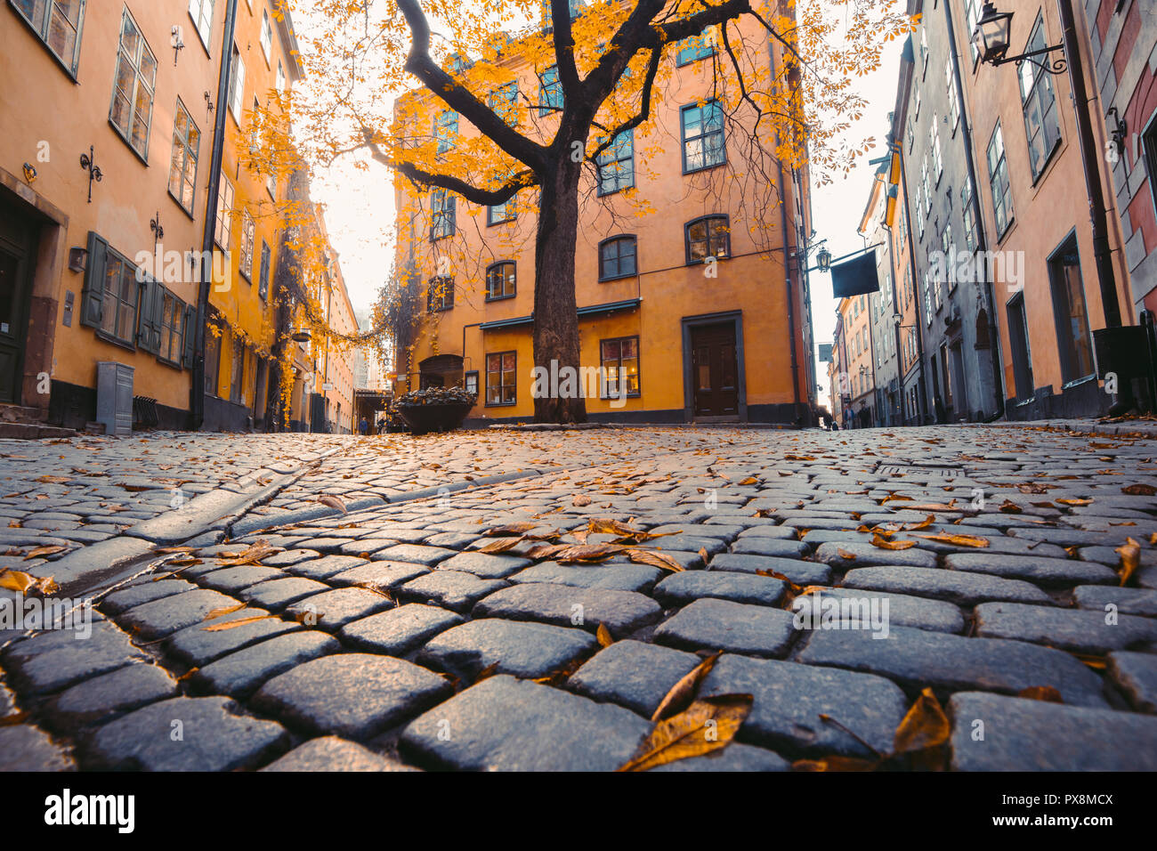 Affascinante di Stoccolma scena di strada con vecchie case colorate in beautiful Golden luce della sera al tramonto in Gamla Stan Città Vecchia, Svezia Foto Stock