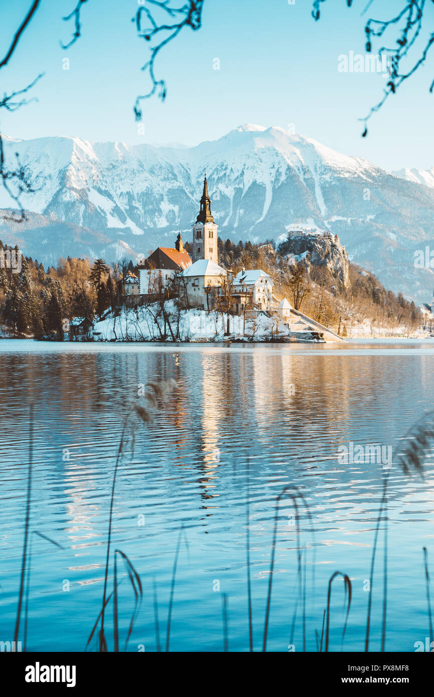 Bellissima vista della famosa isola di Bled (Blejski Otok) presso il pittoresco lago di Bled con il castello di Bled (Blejski grad) e Alpi Giulie sullo sfondo di sunrise Foto Stock