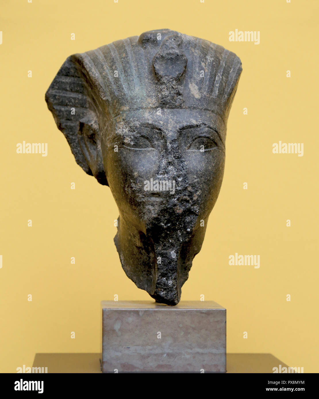 Il re Thutmosi III (c. 1490-1436 BC) sixt Faraone della XVIII dinastia di Egitto. Diorite. Foto Stock