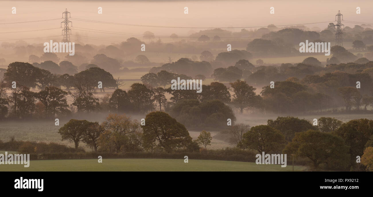 Marshwood, Dorset, Regno Unito. Xx Ottobre 2018. Regno Unito: Meteo nebbia e colori autunnali a sunrise nel bellissimo Marshwood Vale. Credito: Celia McMahon/Alamy Live News Foto Stock