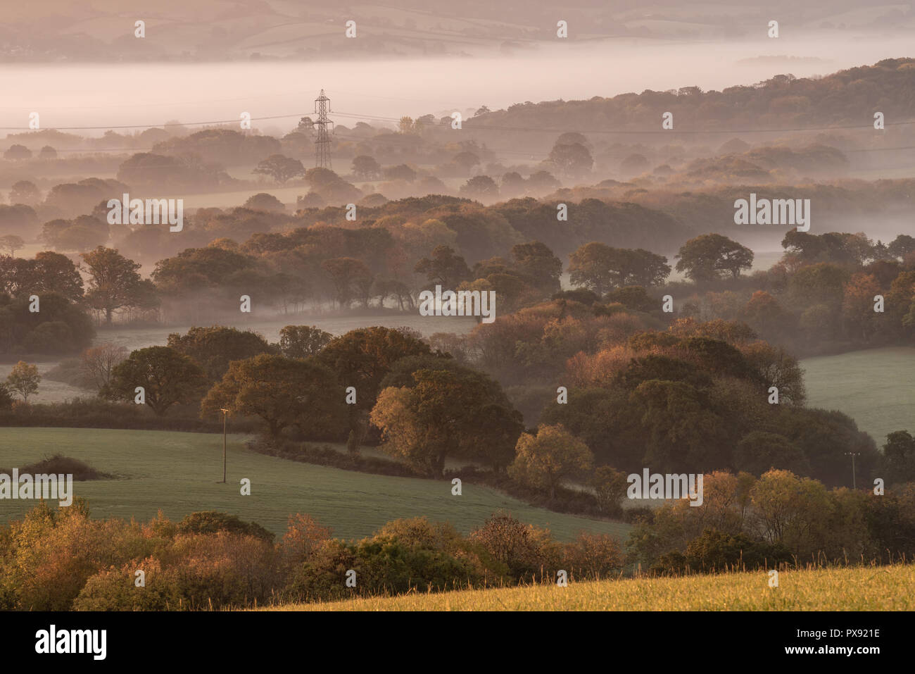 Marshwood, Dorset, Regno Unito. Xx Ottobre 2018. Regno Unito: Meteo nebbia e colori autunnali a sunrise nel bellissimo Marshwood Vale. Credito: Celia McMahon/Alamy Live News Foto Stock
