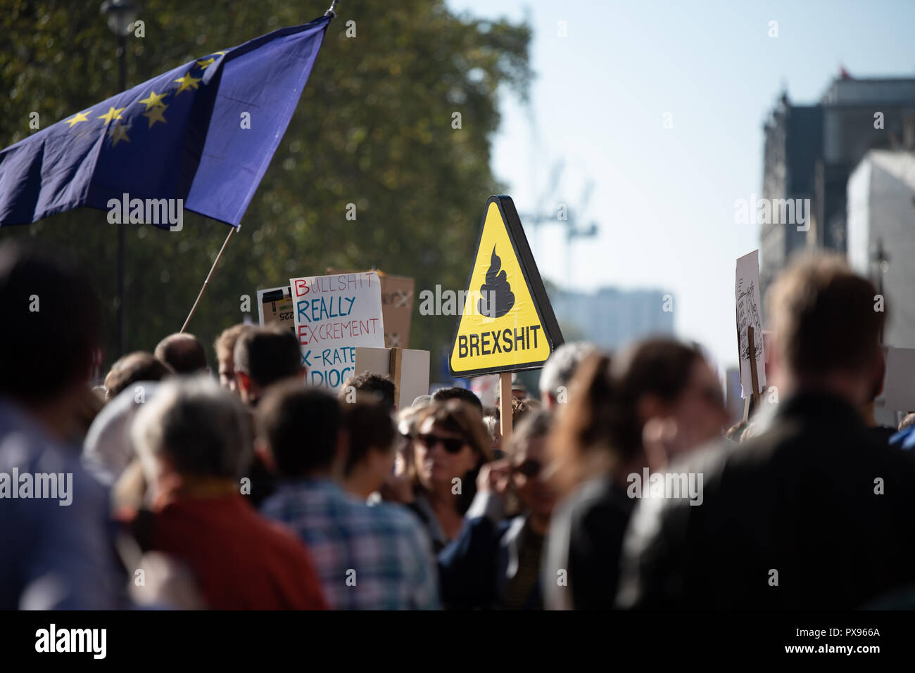 Londra, Regno Unito. 20 ottobre 2018 centinaia di migliaia di persone hanno girato fino a Londra da tutto il paese a marzo per un voto popolare. Essi vogliono una votazione finale sulla trattativa Brexit. Credito: Ilyas Ayub/Alamy Live News Foto Stock