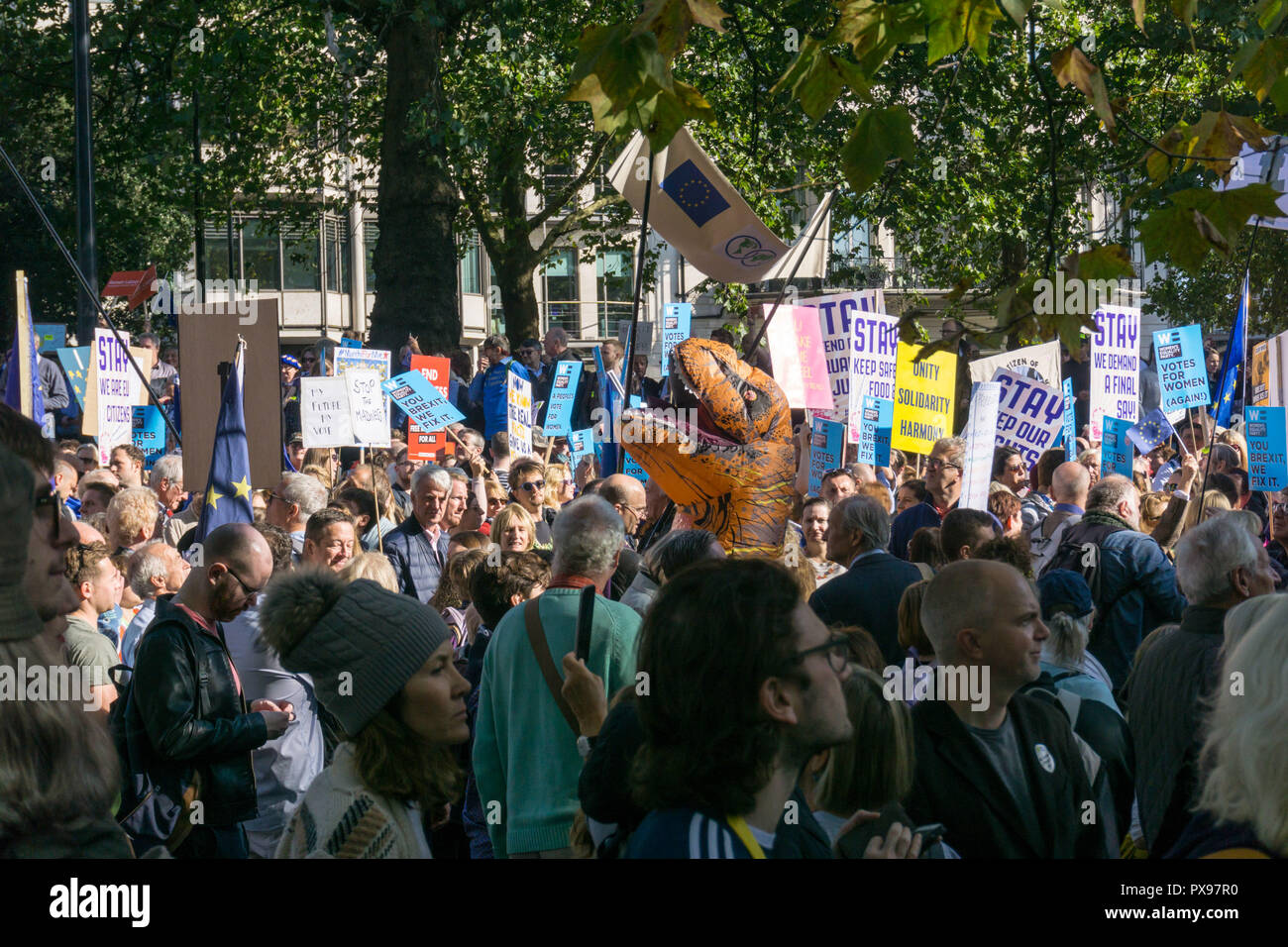 Londra, Regno Unito. Il 20 ottobre 2018. Oltre 500.000 persone sono stimati per avere preso parte nel mese di marzo per un voto popolare oggi da Park Lane a Piazza del Parlamento a Londra. Steve Sheppardson/Alamy Live News Foto Stock